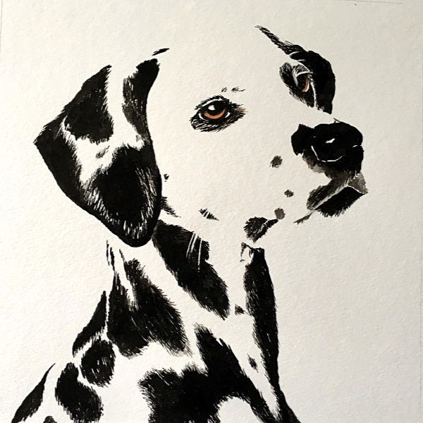 Tuschezeichnung, 30 x30 cm