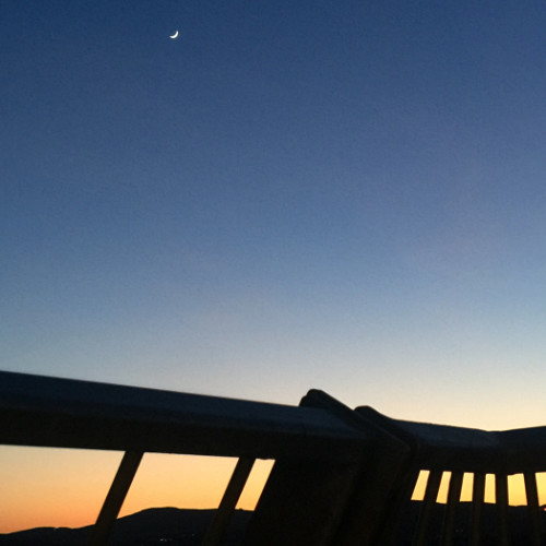 das Bild (2020, #favoritewasteoftime)